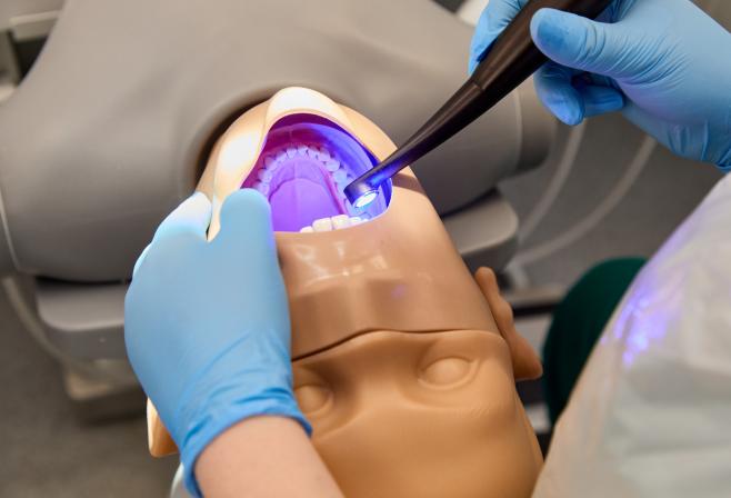 image showing mannequin in use for dental training