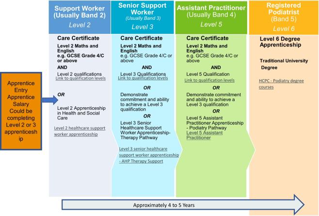 Diagram showing career pathway
