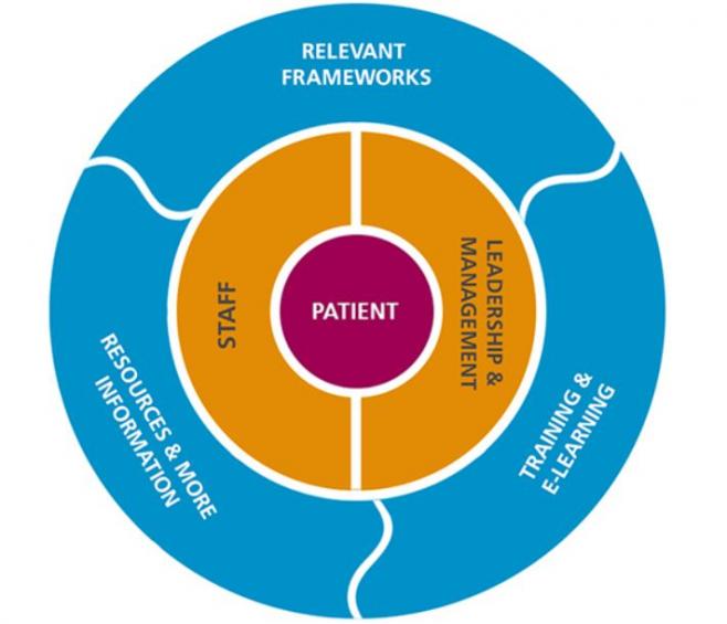 Circular graphic of the six sections of the hub. Patients, staff, leadership and management, relevant frameworks, training and elearning, resources and more information. Patients is at the centre.
