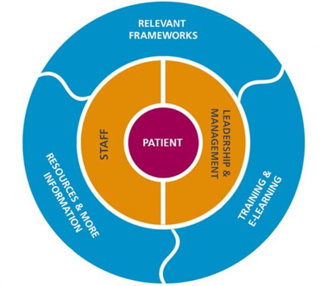 Circular graphic of the six sections of the hub. Patients, staff, leadership and management, relevant frameworks, training and elearning, resources and more information. Patients is at the centre.
