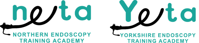 NETA. Northern Endoscopy Training Academy. YETA. Yorkshire Endoscopy Training Academy.